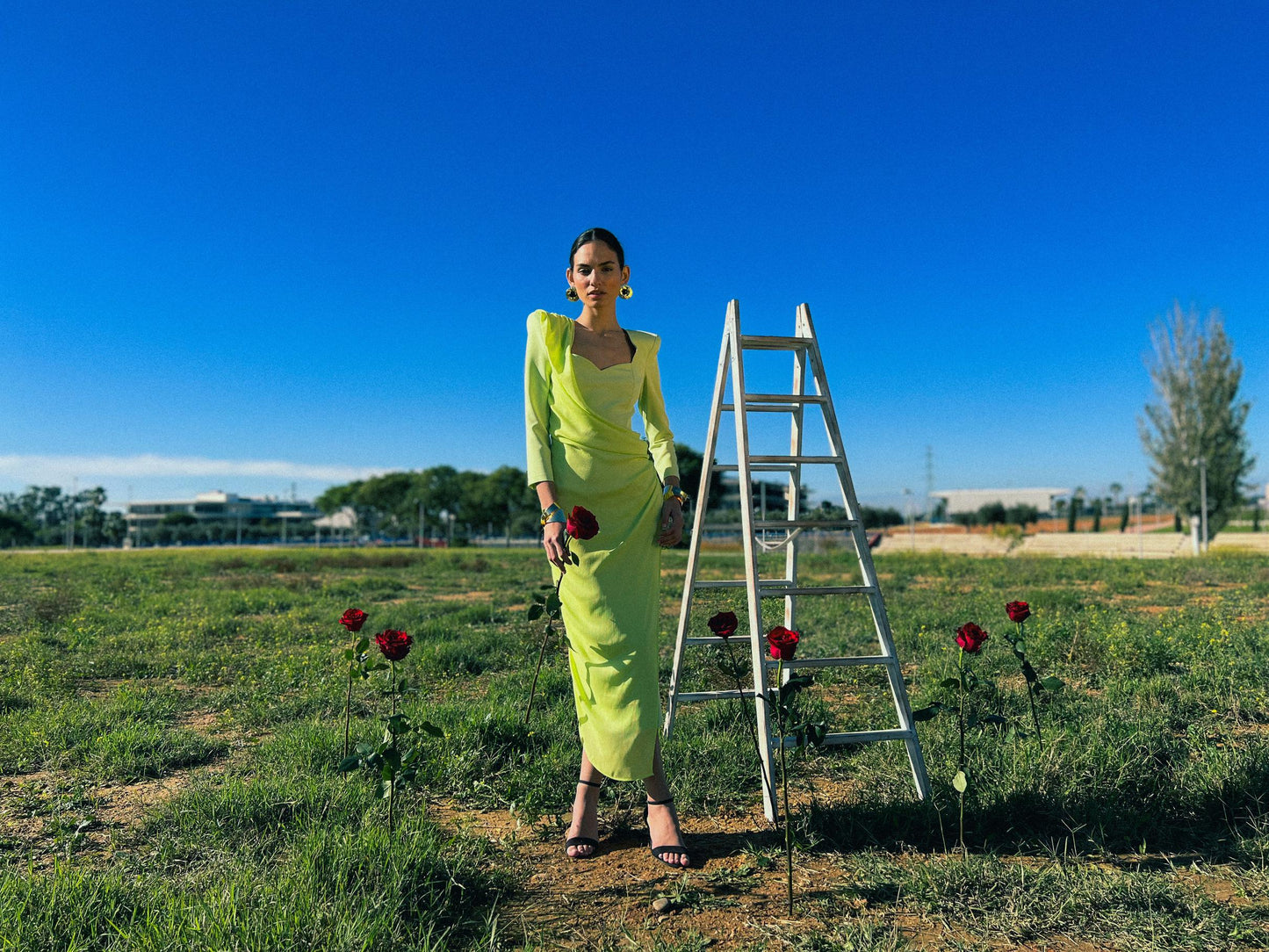 VESTIDO NARCISO